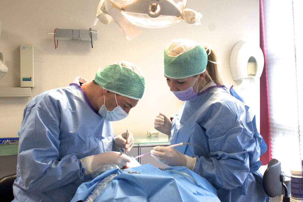 Behandeling bij uw eigen tandarts